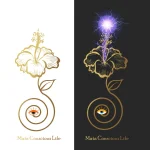 Account avatar for Meta Life Center